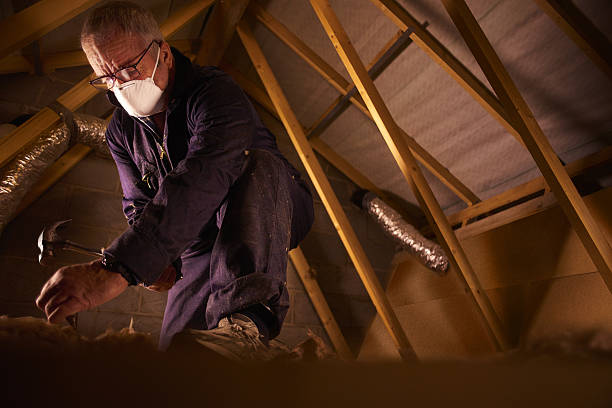 Best Insulation Materials and Products in Nsfield Center, MA